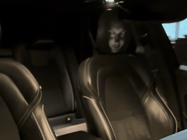 Two ghost headrest covers lit up inside a car at night